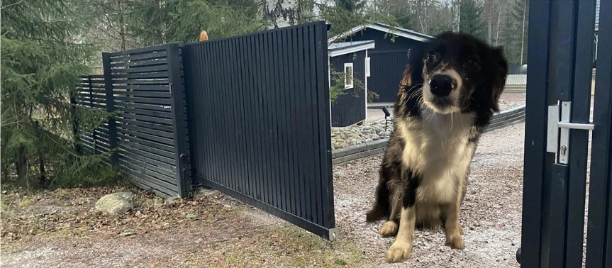 Apple Carplay & Siri – oven avaaminen ilman puhelimen lukituksen avaamista – osa&nbsp;2